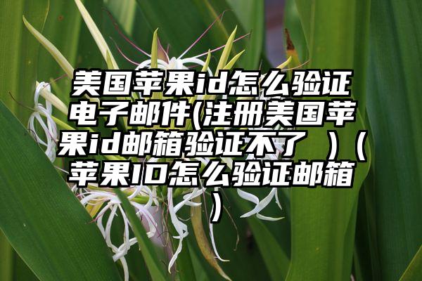 美国苹果id怎么验证电子邮件(注册美国苹果id邮箱验证不了 )（苹果ID怎么验证邮箱）