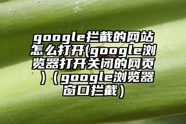 google拦截的网站怎么打开(google浏览器打开关闭的网页 )（google浏览器窗口拦截）