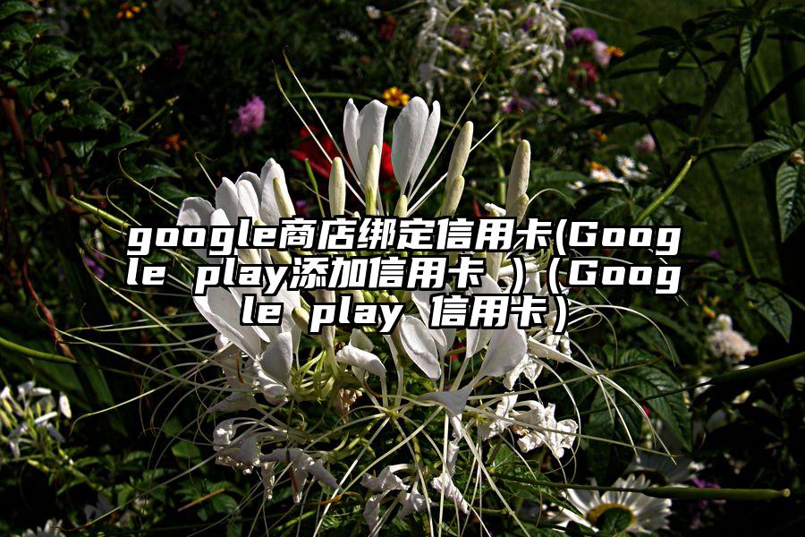 google商店绑定信用卡(Google play添加信用卡 )（Google play 信用卡）