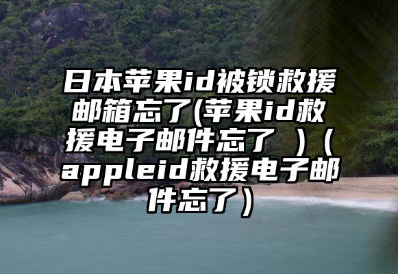 日本苹果id被锁救援邮箱忘了(苹果id救援电子邮件忘了 )（appleid救援电子邮件忘了）