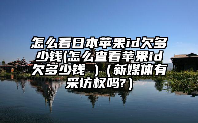 怎么看日本苹果id欠多少钱(怎么查看苹果id欠多少钱 )（新媒体有采访权吗?）