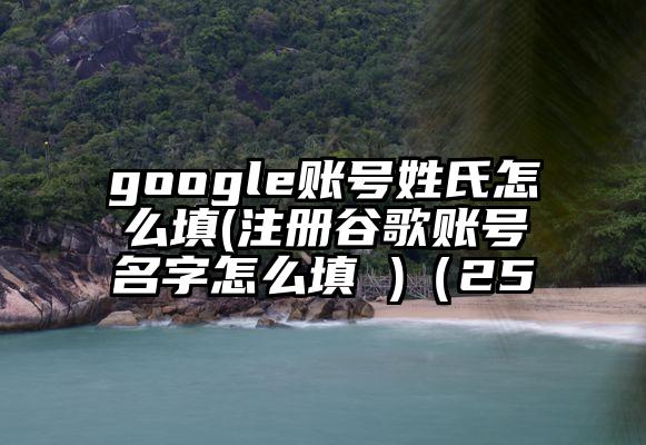 google账号姓氏怎么填(注册谷歌账号名字怎么填 )（25