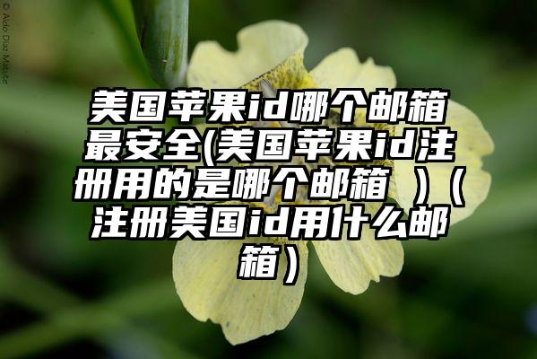 美国苹果id哪个邮箱最安全(美国苹果id注册用的是哪个邮箱 )（注册美国id用什么邮箱）