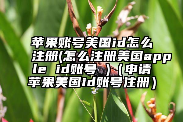 苹果账号美国id怎么注册(怎么注册美国apple id账号 )（申请苹果美国id账号注册）