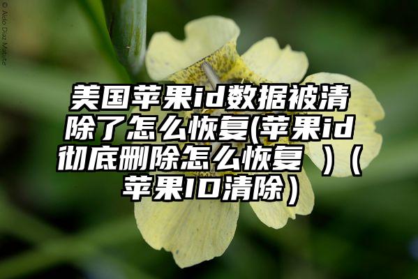 美国苹果id数据被清除了怎么恢复(苹果id彻底删除怎么恢复 )（苹果ID清除）