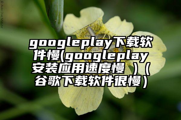 googleplay下载软件慢(googleplay安装应用速度慢 )（谷歌下载软件很慢）