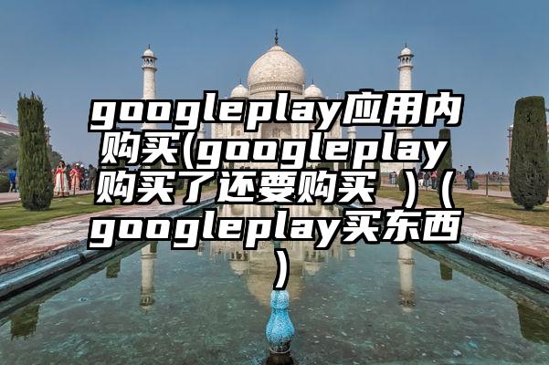 googleplay应用内购买(googleplay购买了还要购买 )（googleplay买东西）