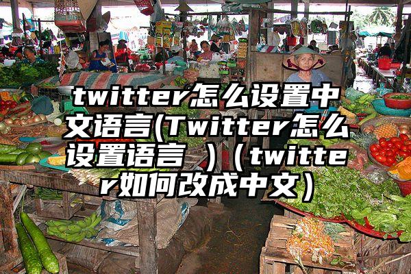 twitter怎么设置中文语言(Twitter怎么设置语言 )（twitter如何改成中文）