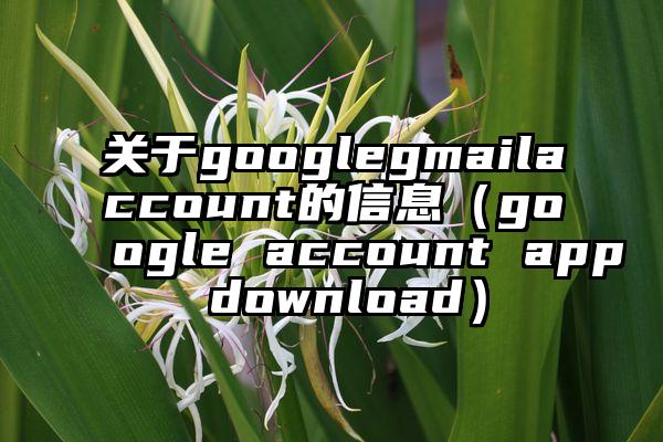 关于googlegmailaccount的信息（google account app download）