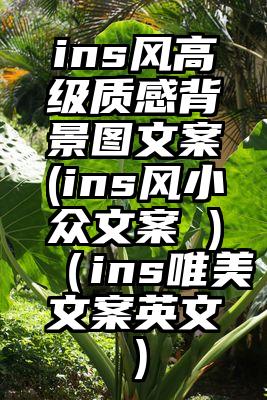 ins风高级质感背景图文案(ins风小众文案 )（ins唯美文案英文）