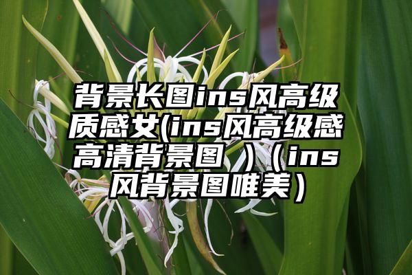 背景长图ins风高级质感女(ins风高级感高清背景图 )（ins风背景图唯美）