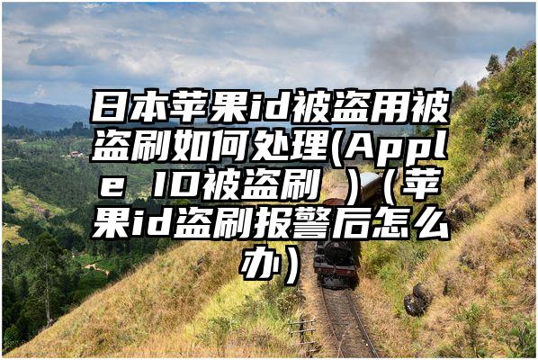 日本苹果id被盗用被盗刷如何处理(Apple ID被盗刷 )（苹果id盗刷报警后怎么办）