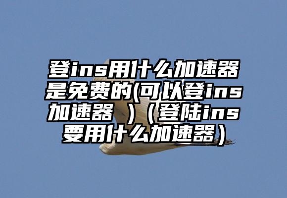 登ins用什么加速器是免费的(可以登ins加速器 )（登陆ins要用什么加速器）