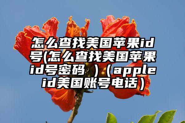 怎么查找美国苹果id号(怎么查找美国苹果id号密码 )（appleid美国账号电话）