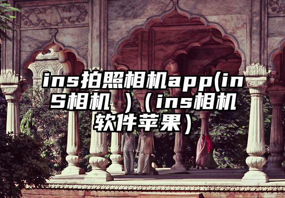 ins拍照相机app(inS相机 )（ins相机软件苹果）