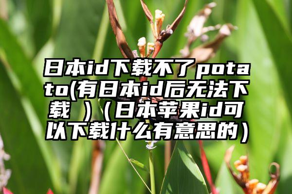 日本id下载不了potato(有日本id后无法下载 )（日本苹果id可以下载什么有意思的）