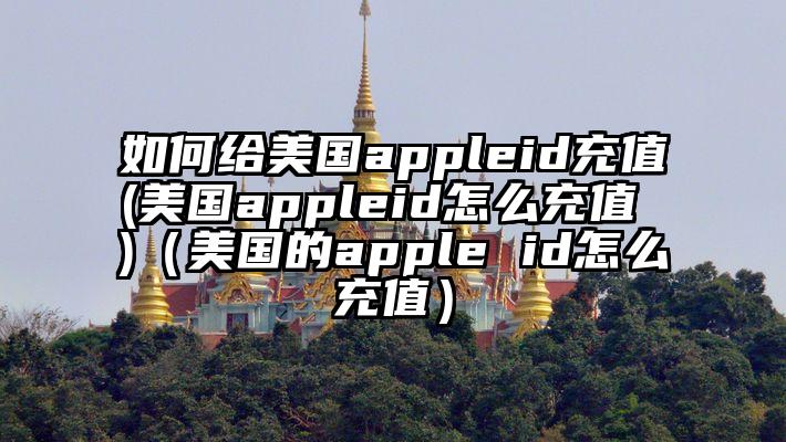 如何给美国appleid充值(美国appleid怎么充值 )（美国的apple id怎么充值）