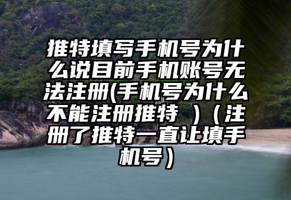 推特填写手机号为什么说目前手机账号无法注册(手机号为什么不能注册推特 )（注册了推特一直让填手机号）