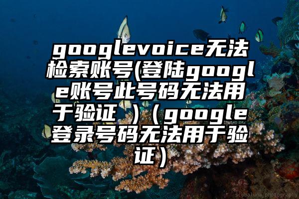 googlevoice无法检索账号(登陆google账号此号码无法用于验证 )（google登录号码无法用于验证）