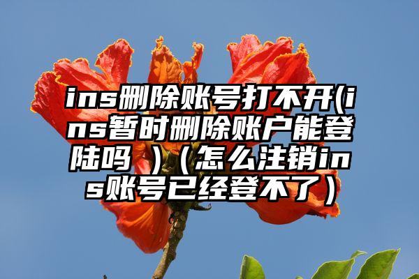 ins删除账号打不开(ins暂时删除账户能登陆吗 )（怎么注销ins账号已经登不了）