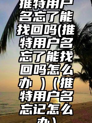 推特用户名忘了能找回吗(推特用户名忘了能找回吗怎么办 )（推特用户名忘记怎么办）