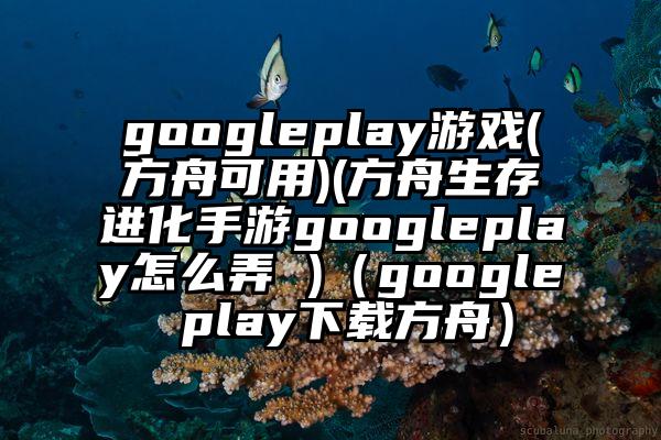 googleplay游戏(方舟可用)(方舟生存进化手游googleplay怎么弄 )（google play下载方舟）