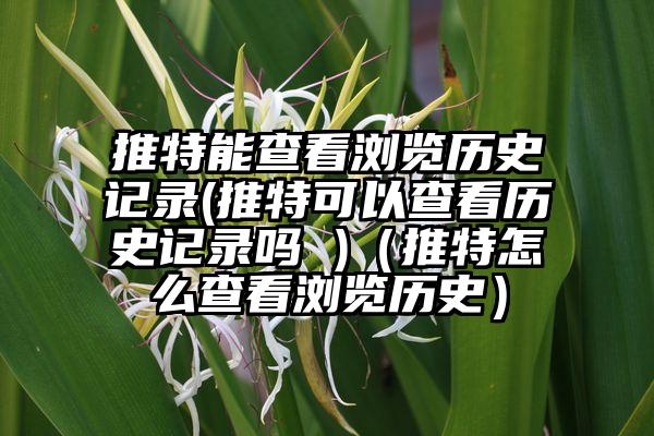 推特能查看浏览历史记录(推特可以查看历史记录吗 )（推特怎么查看浏览历史）