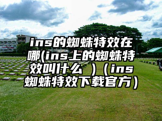 ins的蜘蛛特效在哪(ins上的蜘蛛特效叫什么 )（ins蜘蛛特效下载官方）