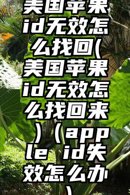 美国苹果id无效怎么找回(美国苹果id无效怎么找回来 )（apple id失效怎么办）