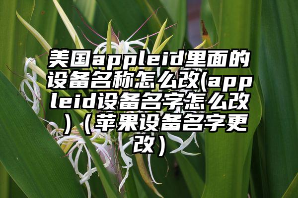 美国appleid里面的设备名称怎么改(appleid设备名字怎么改 )（苹果设备名字更改）