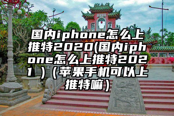 国内iphone怎么上推特2020(国内iphone怎么上推特2021 )（苹果手机可以上推特嘛）