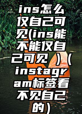 ins怎么仅自己可见(ins能不能仅自己可见 )（instagram标签看不见自己的）