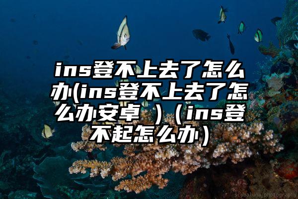 ins登不上去了怎么办(ins登不上去了怎么办安卓 )（ins登不起怎么办）