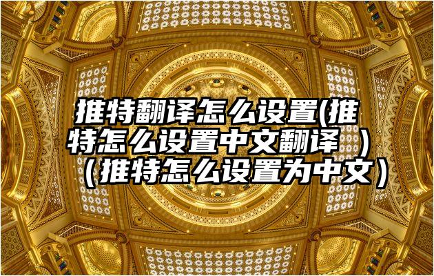 推特翻译怎么设置(推特怎么设置中文翻译 )（推特怎么设置为中文）