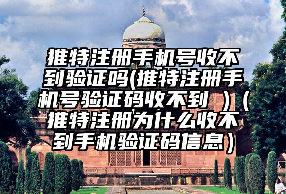 推特注册手机号收不到验证吗(推特注册手机号验证码收不到 )（推特注册为什么收不到手机验证码信息）