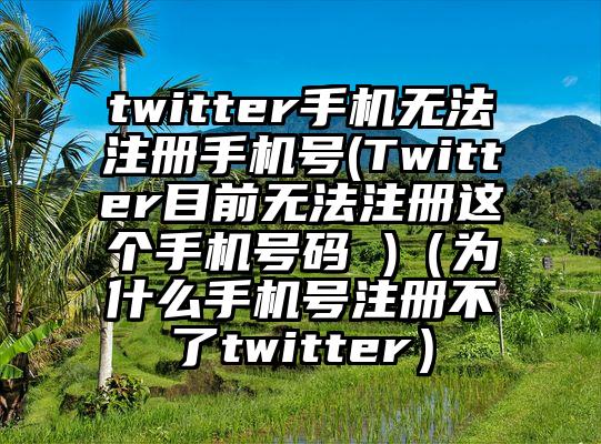 twitter手机无法注册手机号(Twitter目前无法注册这个手机号码 )（为什么手机号注册不了twitter）