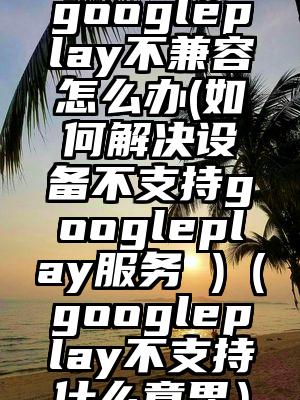 googleplay不兼容怎么办(如何解决设备不支持googleplay服务 )（googleplay不支持什么意思）