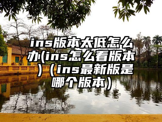 ins版本太低怎么办(ins怎么看版本 )（ins最新版是哪个版本）