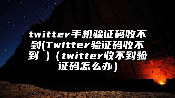 twitter手机验证码收不到(Twitter验证码收不到 )（twitter收不到验证码怎么办）