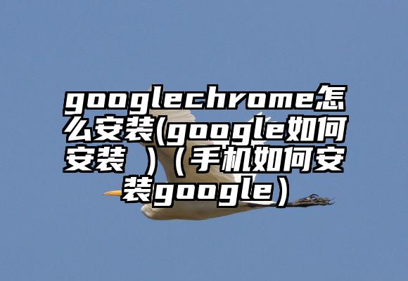 googlechrome怎么安装(google如何安装 )（手机如何安装google）