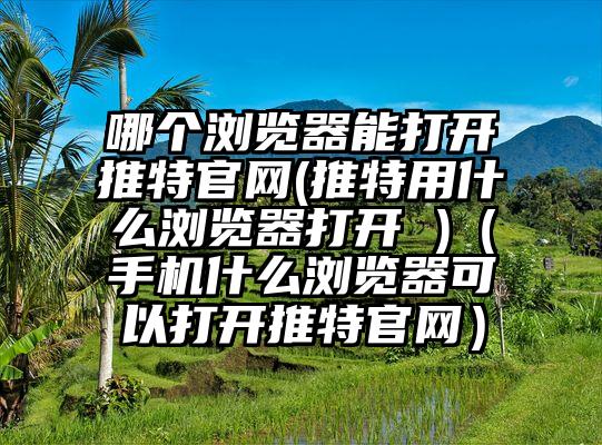 哪个浏览器能打开推特官网(推特用什么浏览器打开 )（手机什么浏览器可以打开推特官网）