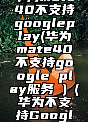 华为mate40不支持googleplay(华为mate40不支持google play服务 )（华为不支持Google