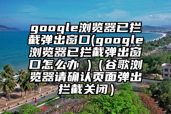 google浏览器已拦截弹出窗口(google浏览器已拦截弹出窗口怎么办 )（谷歌浏览器请确认页面弹出拦截关闭）