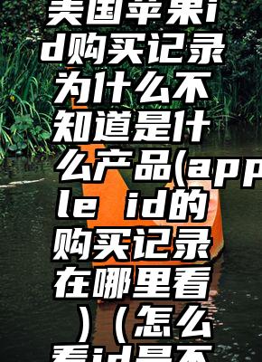 如何查询美国苹果id购买记录为什么不知道是什么产品(apple id的购买记录在哪里看 )（怎么看id是不是美国的）