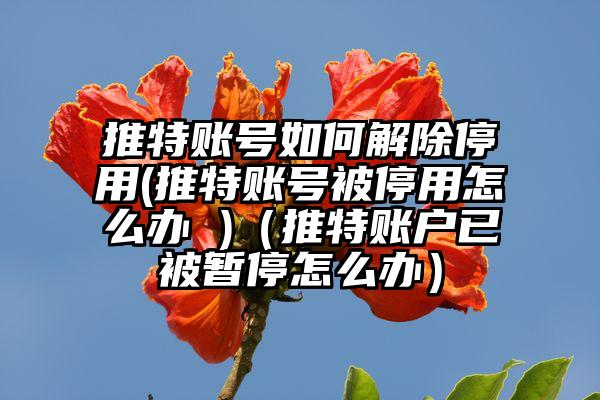 推特账号如何解除停用(推特账号被停用怎么办 )（推特账户已被暂停怎么办）