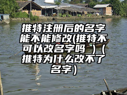 推特注册后的名字能不能修改(推特不可以改名字吗 )（推特为什么改不了名字）