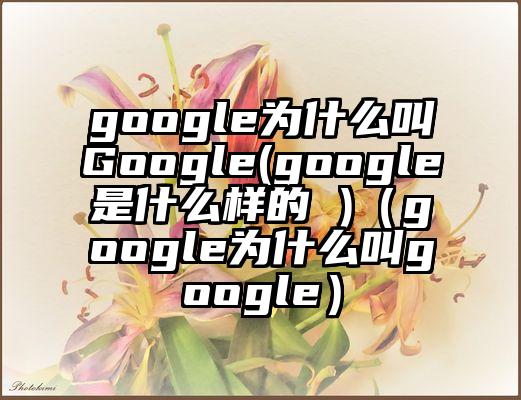 google为什么叫Google(google是什么样的 )（google为什么叫google）