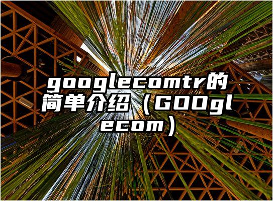 googlecomtr的简单介绍（GOOglecom）