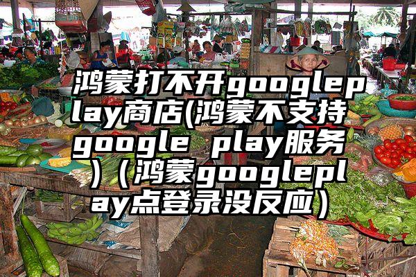 鸿蒙打不开googleplay商店(鸿蒙不支持google play服务 )（鸿蒙googleplay点登录没反应）