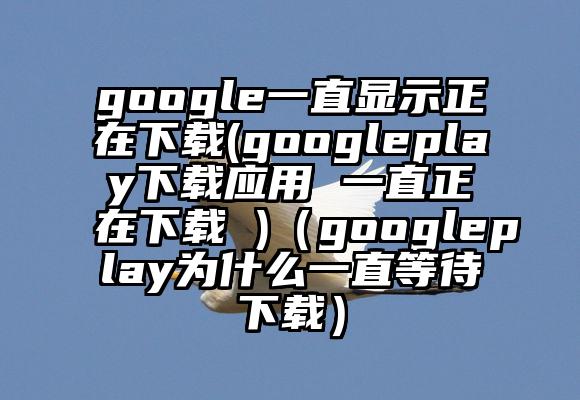 google一直显示正在下载(googleplay下载应用 一直正在下载 )（googleplay为什么一直等待下载）